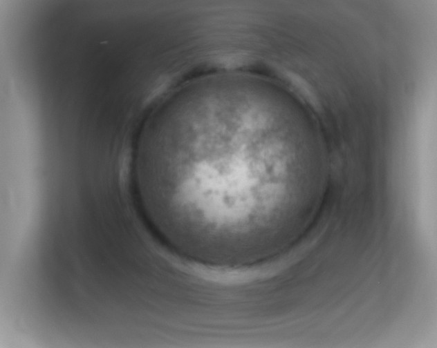 X0000113900018200909241446