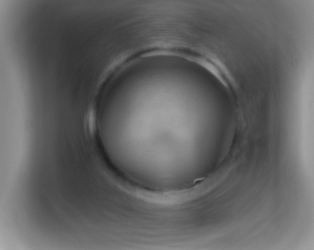 X0000113900019200909241446