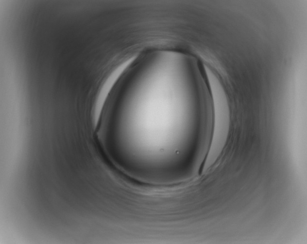 X0000113900021200909241446