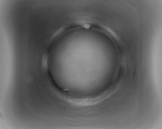 X0000113900023200909241446