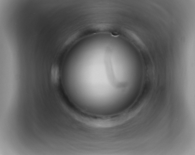 X0000113900024200909241446