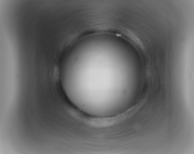 X0000113900025200909241446