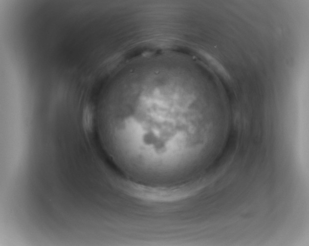 X0000113900026200909241446