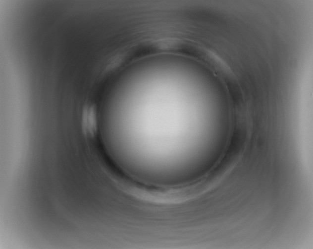 X0000113900028200909241446