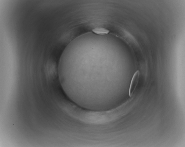 X0000113900029200909241446