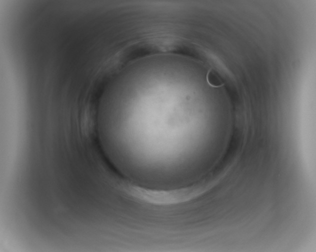 X0000113900030200909241446