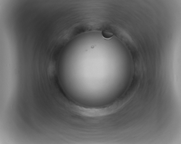 X0000113900034200909241446