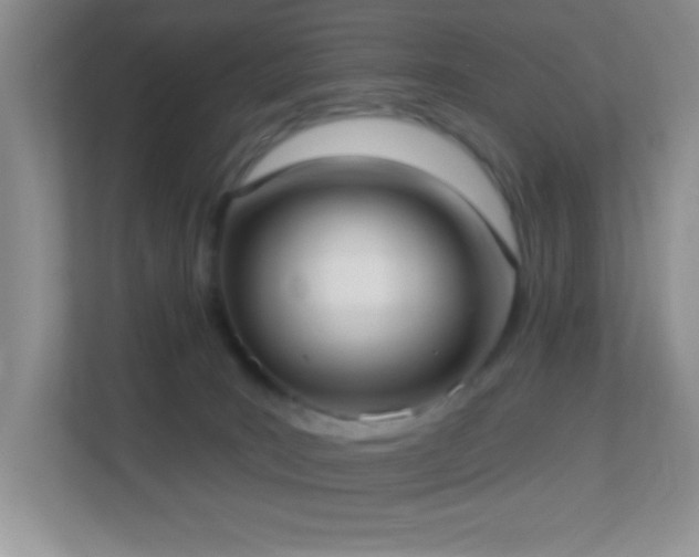 X0000113900035200909241446