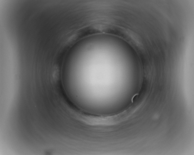 X0000113900036200909241446