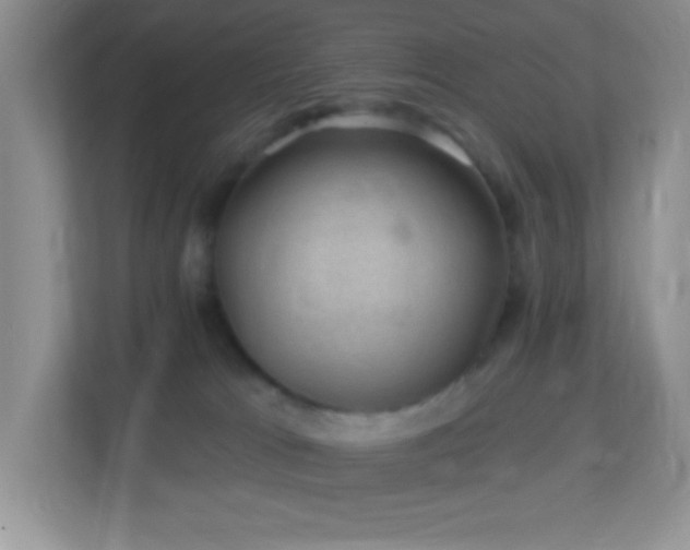 X0000113900037200909241446