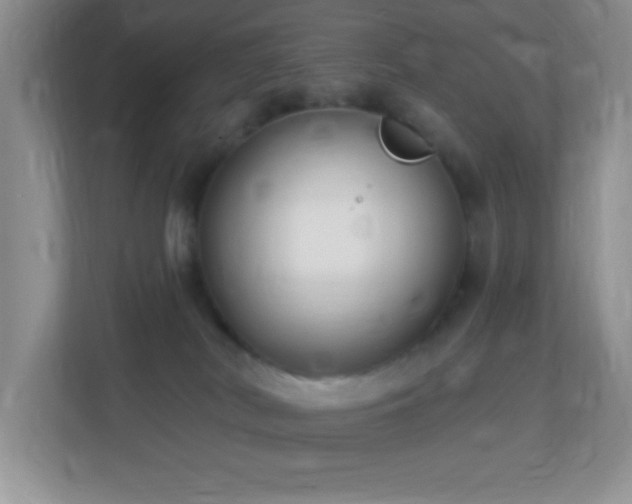 X0000113900038200909241446