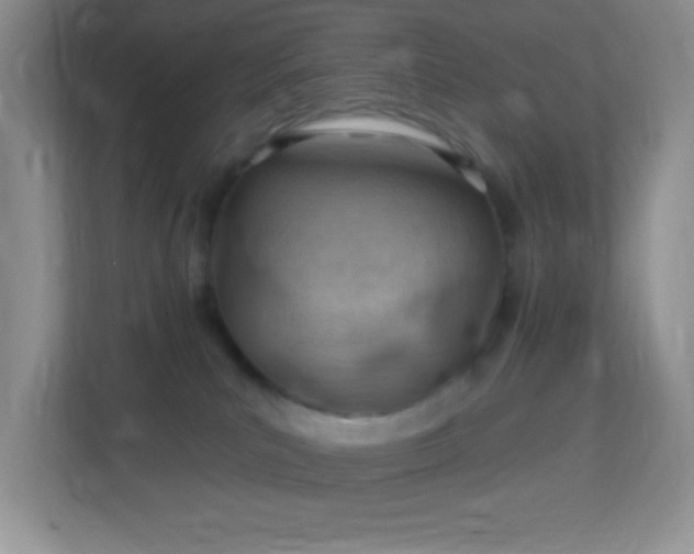 X0000113900039200909241446