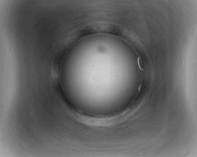 X0000113900040200909241446