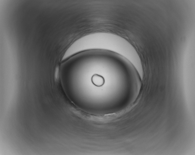 X0000113900041200909241446