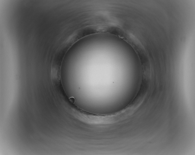 X0000113900044200909241446