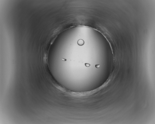 X0000113900045200909241446