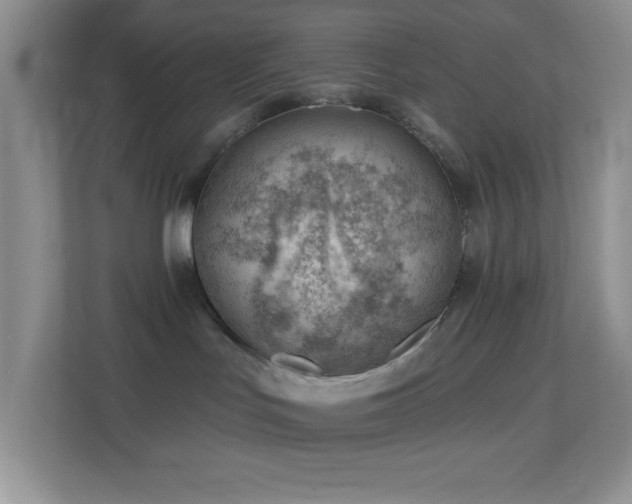 X0000113900047200909241446