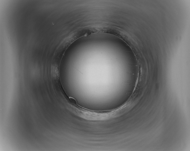 X0000113900048200909241446