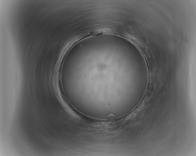 X0000113900049200909241445