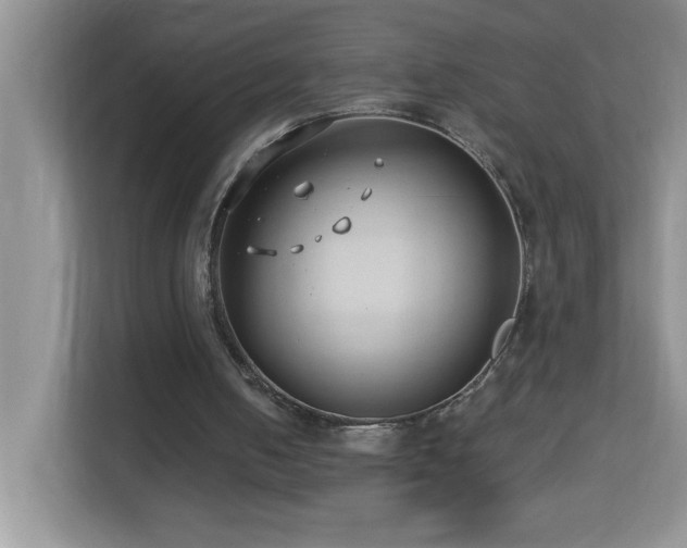 X0000113900050200909241445