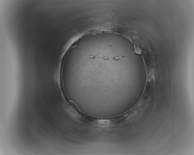 X0000113900052200909241445