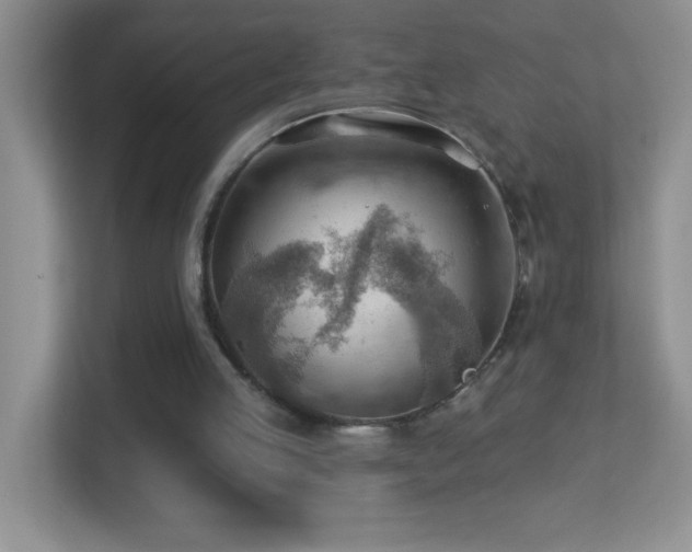 X0000113900053200909241445