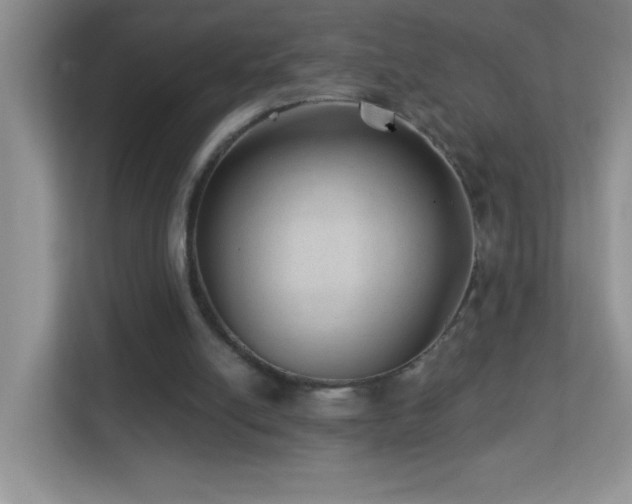 X0000113900054200909241445