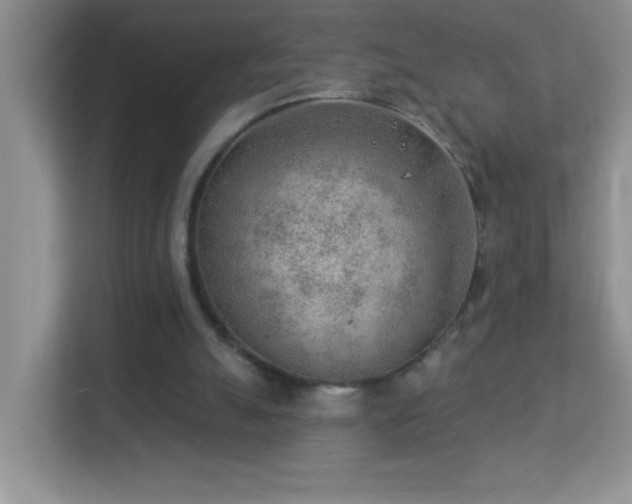 X0000113900055200909241445