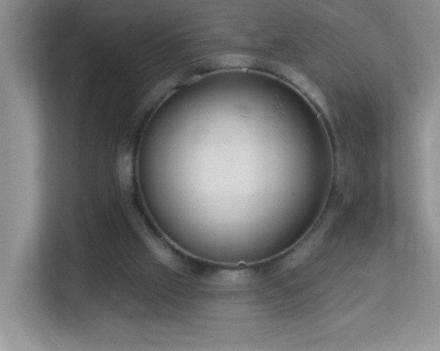 X0000113900057200909241445