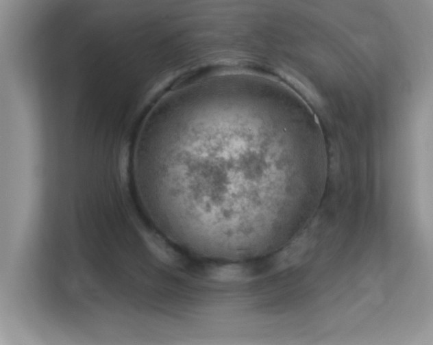 X0000113900058200909241445