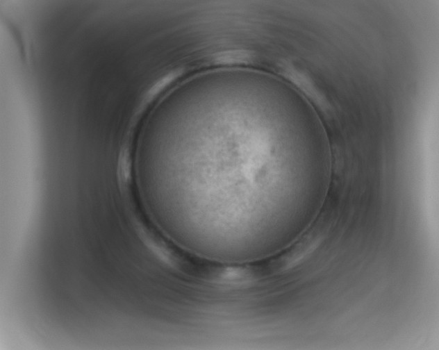 X0000113900060200909241445