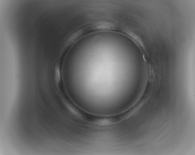 X0000113900061200909241445