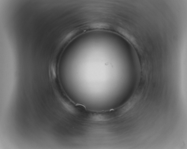 X0000113900062200909241445