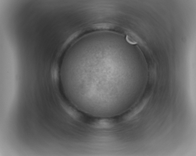 X0000113900064200909241445