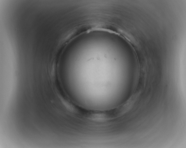 X0000113900066200909241445