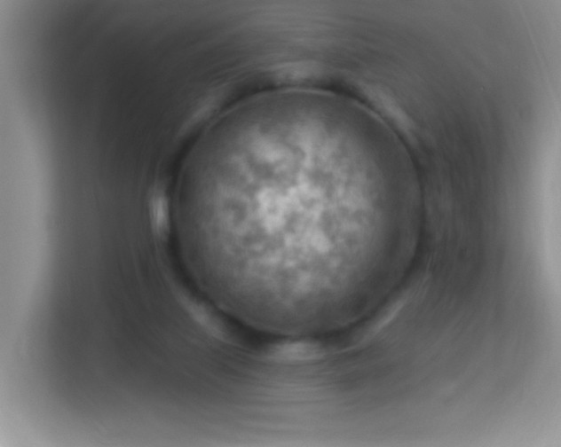 X0000113900067200909241445