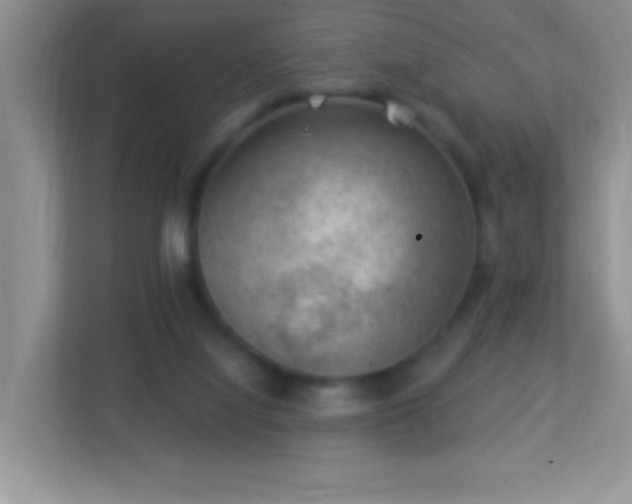 X0000113900068200909241445