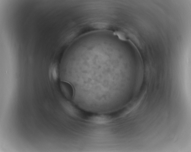 X0000113900069200909241445