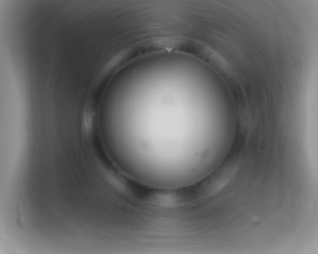 X0000113900071200909241445