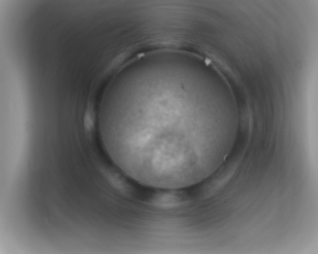 X0000113900072200909241446