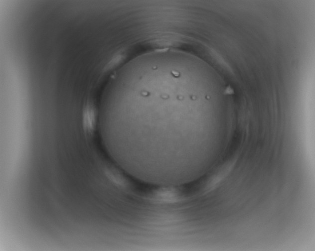 X0000113900076200909241446