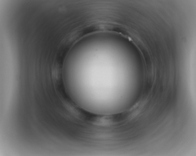 X0000113900078200909241446