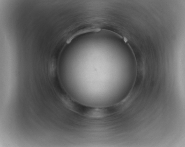 X0000113900082200909241446