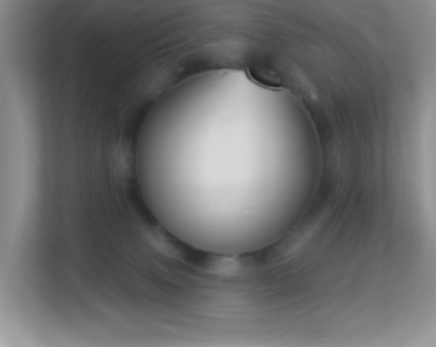 X0000113900083200909241446