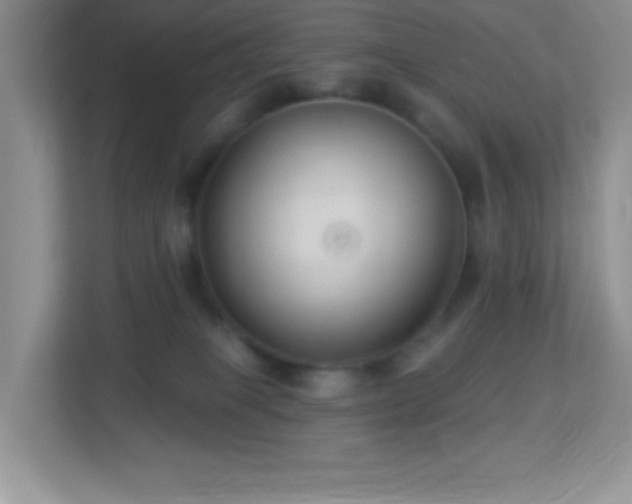 X0000113900085200909241446