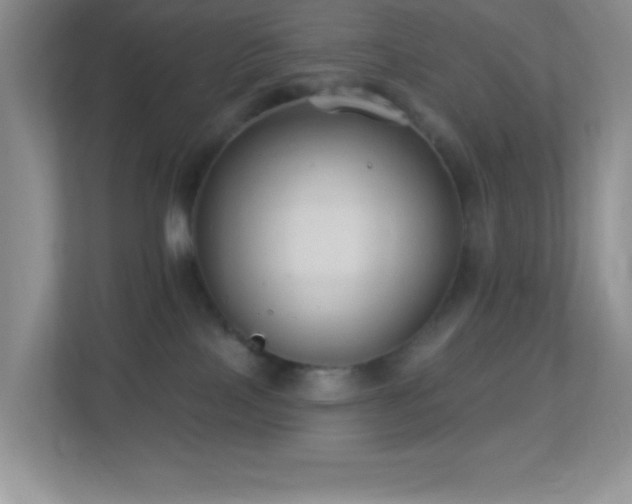 X0000113900089200909241446