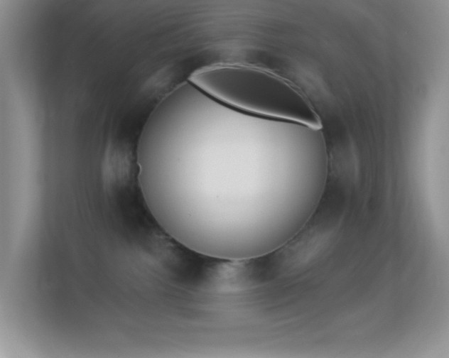 X0000113900092200909241446