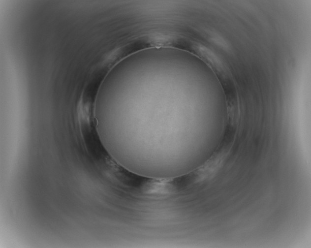 X0000113900093200909241446