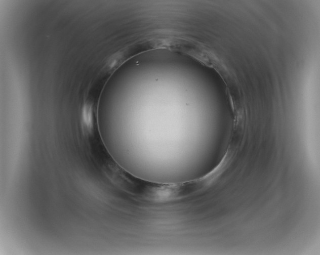 X0000113900094200909241446