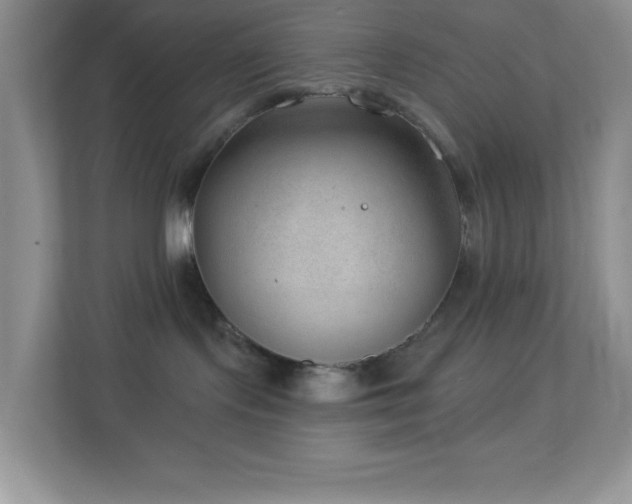 X0000113900095200909241446